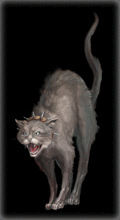 Cat-Freed [9]